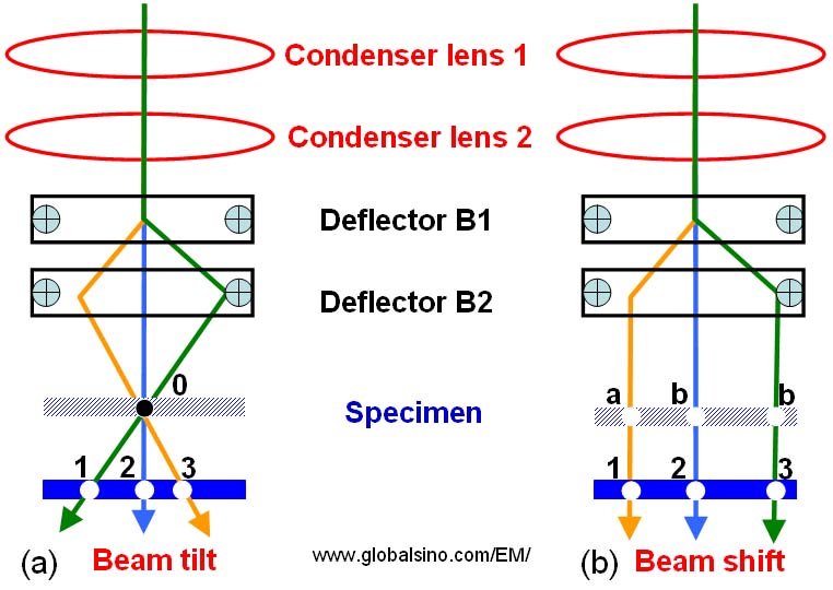 Schematic illustration showing the difference of specimen traverses in both beam tilting and beam shifting process