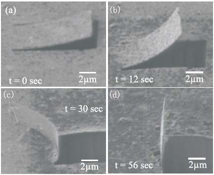 SIM snapshots captured at different stages of the ion-beam-induced bending of an Ag nanocantilever