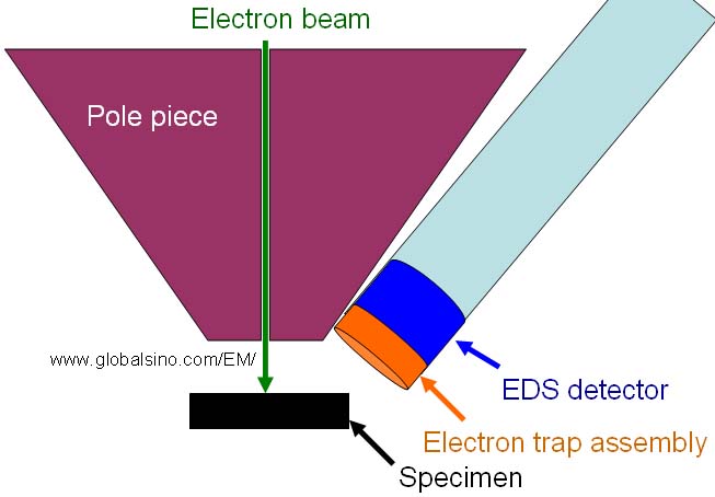 Schematic illustration of an SEM equipped with an electron trap in EDS system