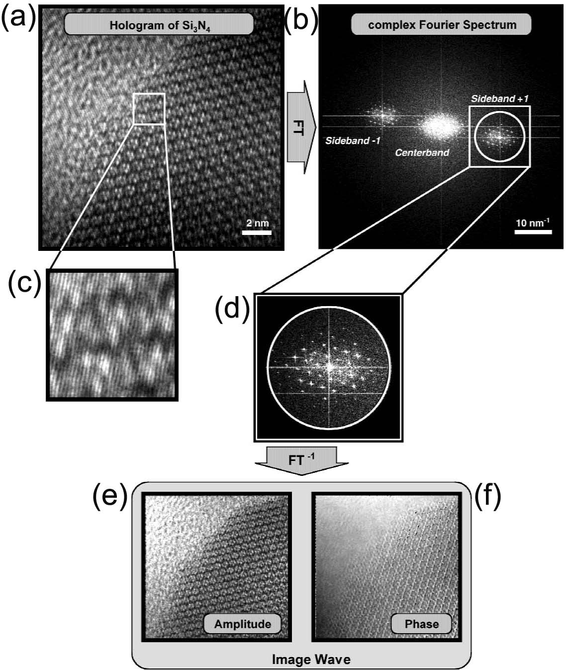 Reconstruction of Off-axis Electron Holograms