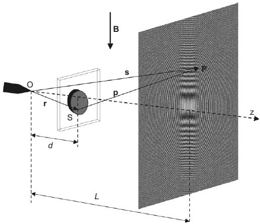 In-line point source electron holographic setup