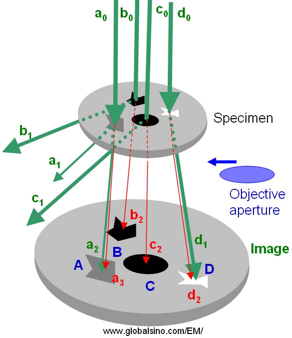 Schematic illustration of diffraction contrast formation in TEM imaging mode