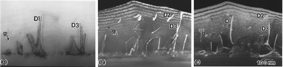 TEM images taken from the cross-section of a GaN homoepitaxial film showing a variety of dislocations