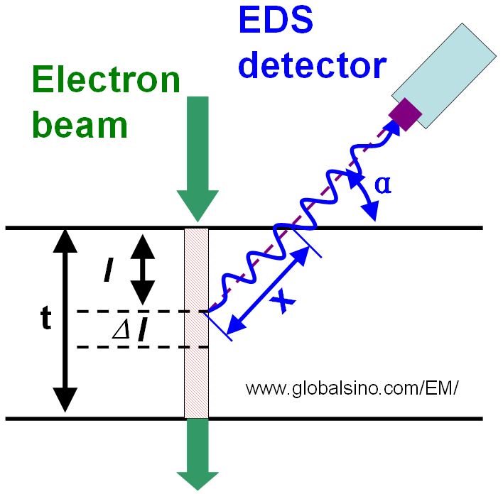 Schematic illustration of the geometry of EDS detection as well as the absorption path (x) within the specimen