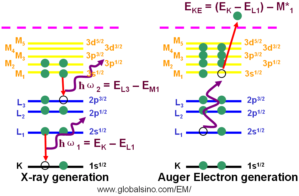 Generation processes of x-rays and Auger electron