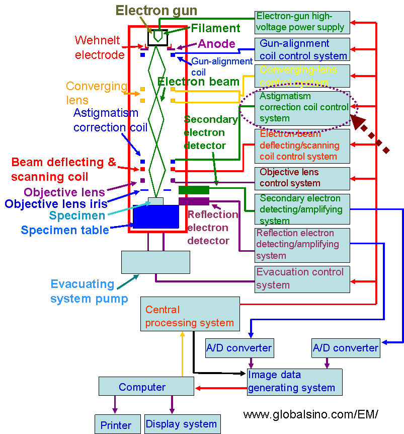 Example of computer-controlled EMs: SEM system