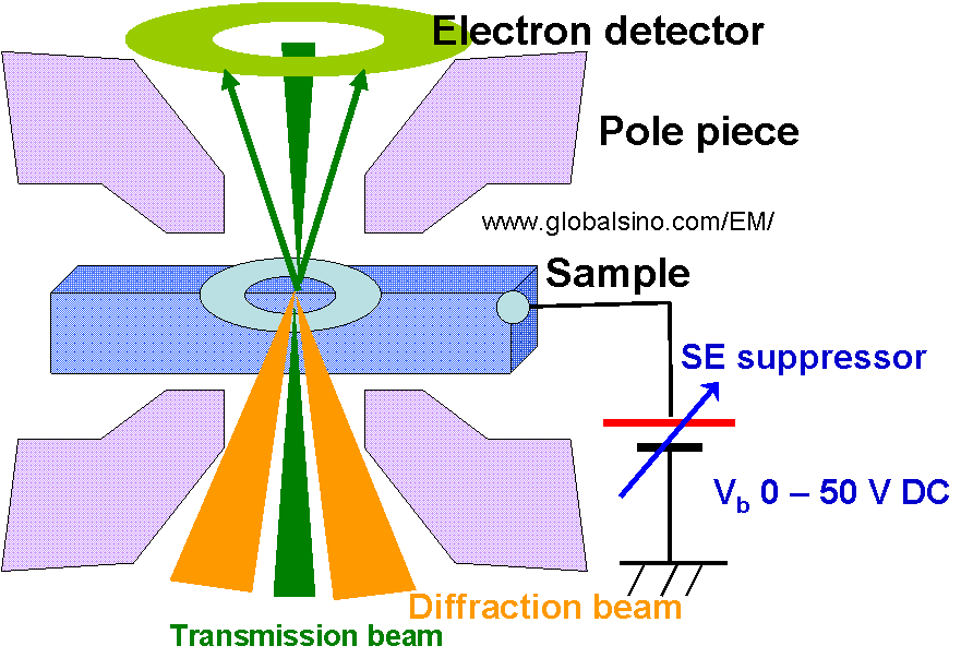 Schematic diagram showing the applied bias used to separate the contrast effect of BSEs from that of BEs