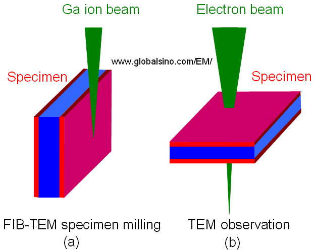 damaged layers caused by FIB specimen preparation (a), and the effects on TEM observation (b)