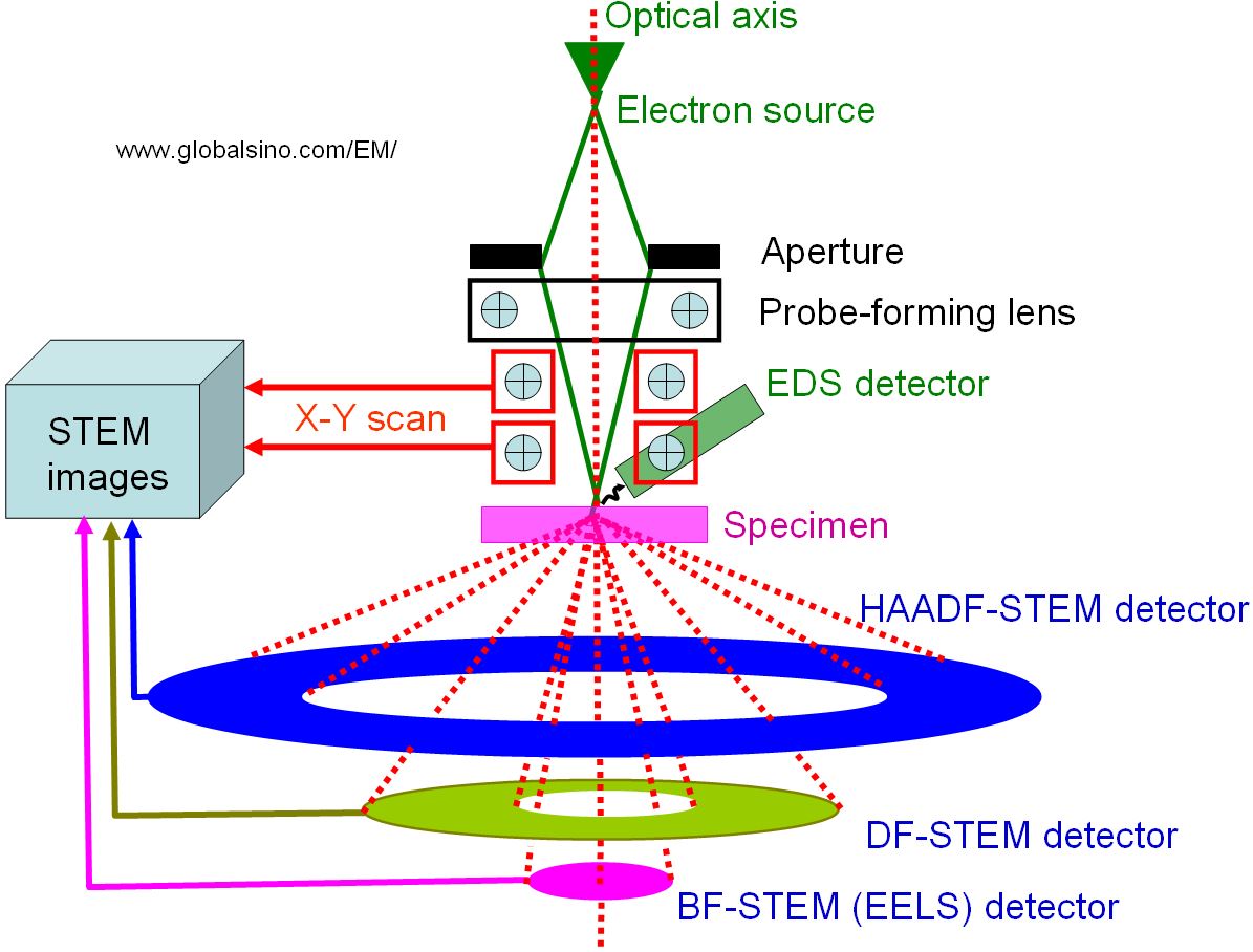 The positions of detectors in STEMs