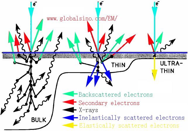 The types of signals generated in a sample of varying thickness by incident electron beam