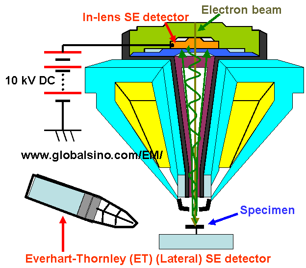 Positions of in-lens detector and the lateral detector in the sample chamber.