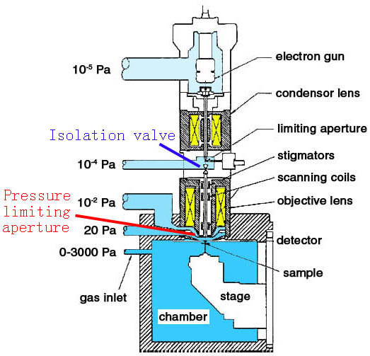 Schematic cross section of an Electroscan ESEM