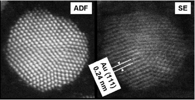 (a) HAADF-STEM and (b) SE images of a gold nanoparticle, indicating Au(111) lattice fringes