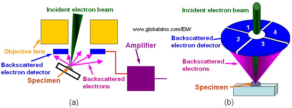 (a) Backscattered electron detector placed directly above the specimen, and (b) Four quadrant solid state backscattered detector