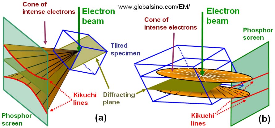 The formation of Kikuchi lines and electron backscatter diffraction pattern in different ways