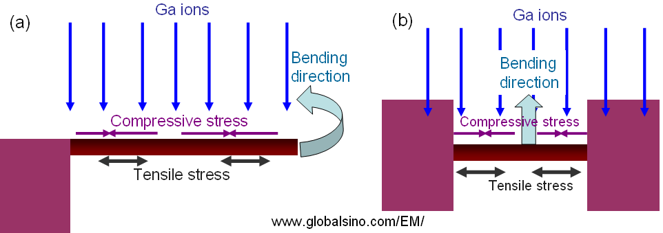 difference of ion-beam-induced stresses on the top and bottom surfaces
