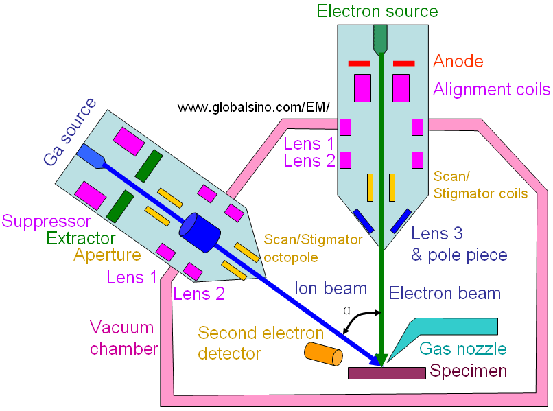 Schematic illustration of dual beam FIB/SEM