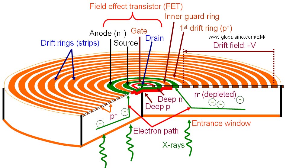 Schematic illustration of silicon drift detector for X-ray spectroscopy