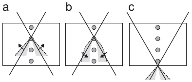 Schematic illustration of the scattering mechanisms for producing features in the defocus series under LAADF condition