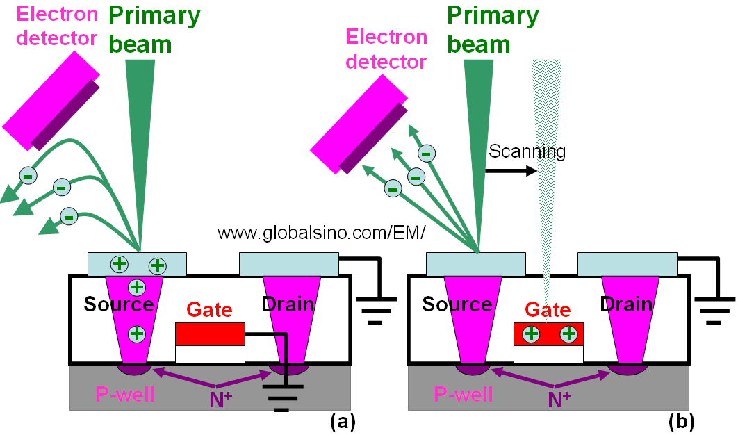 Different cases of passive voltage contrast (PVC) of transistors