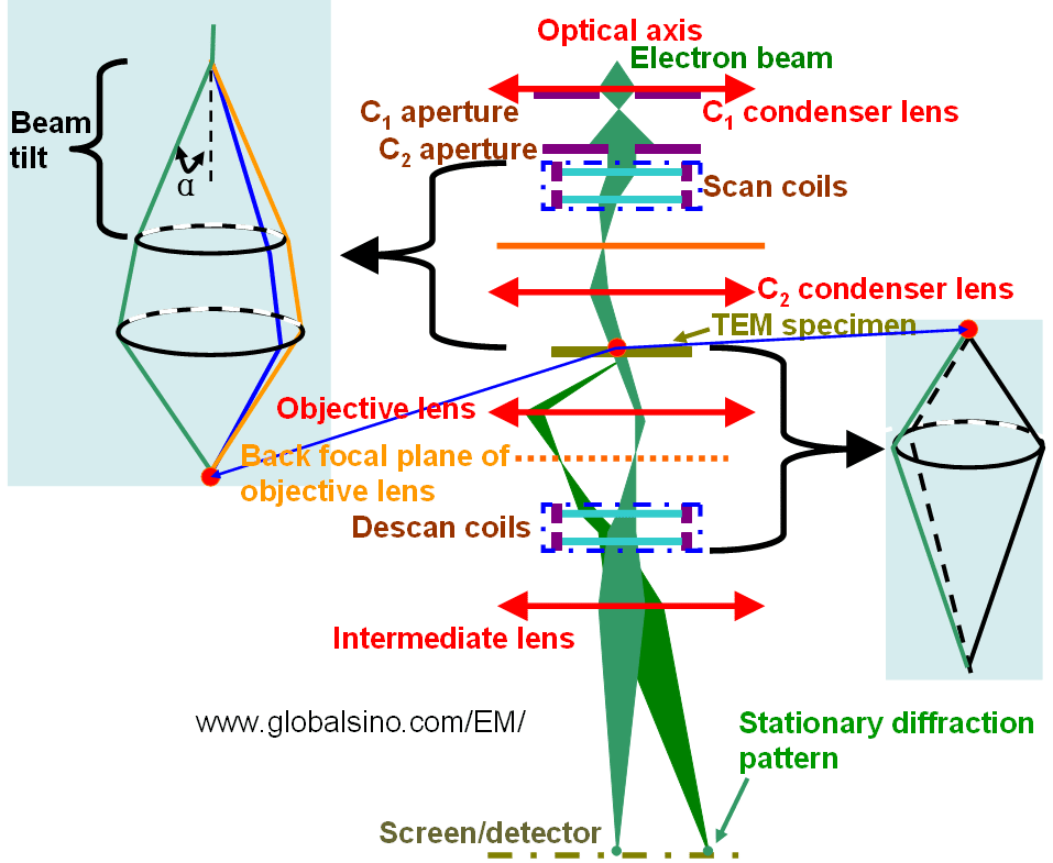 Schematic illustration of precession electron diffraction (PED) setup in the TEM system