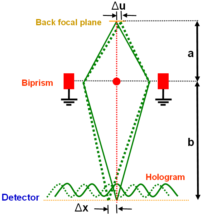 Schematic illustration of the effect of limited spatial coherence on recording of off-axis electron holograms