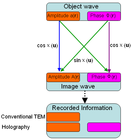 Schematic illustration of imaging of a weak object