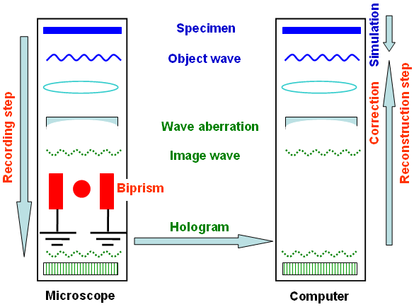 Schematic illustration of the two-step holography procedure