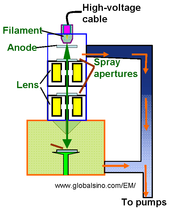 Schematic diagram of a vacuum system in a typical SEM