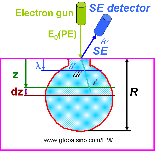 Schematic representation of four main processes which determine SE emission