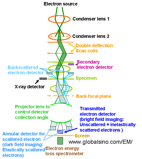 Schematics of the electron optical column in a modern analytical electron microscope operated in STEM mode