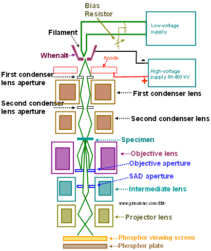 Schematic of an electron-optical column of a TEM