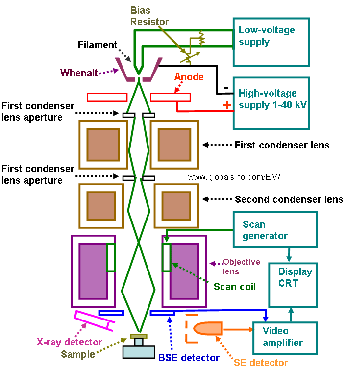 Schematic diagram of an SEM system with a thermionic electron gun