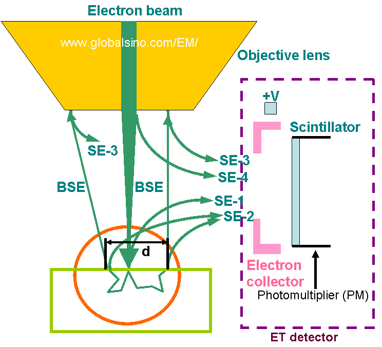 Thornley-Everhardt (ET) Detector