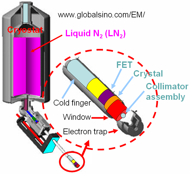 Schematic illustration of EDS detector