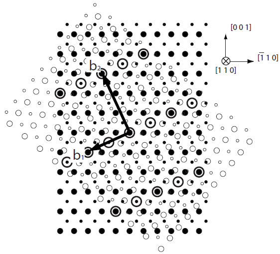 Dichromatic pattern of the !11 lattice misorientation