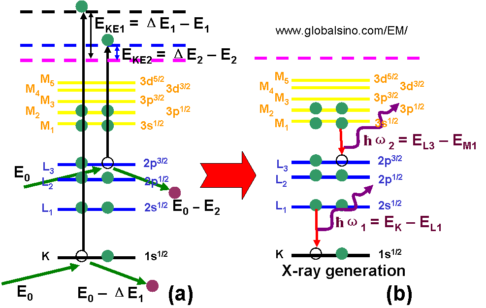 Schematic illustrations of energy loss process (a), x-ray generation (b), and Auger electron generation (c)