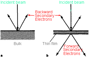 Forward and backward secondary electrons