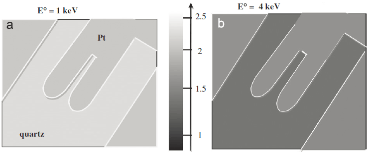 Contrast reversal of SEM images of a FET (field effect transistor)