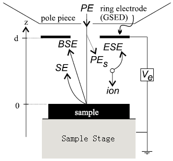 Schematic cross section of an Electroscan ESEM