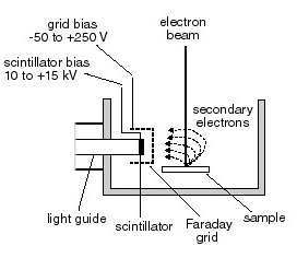 Scintillator in SEM systems