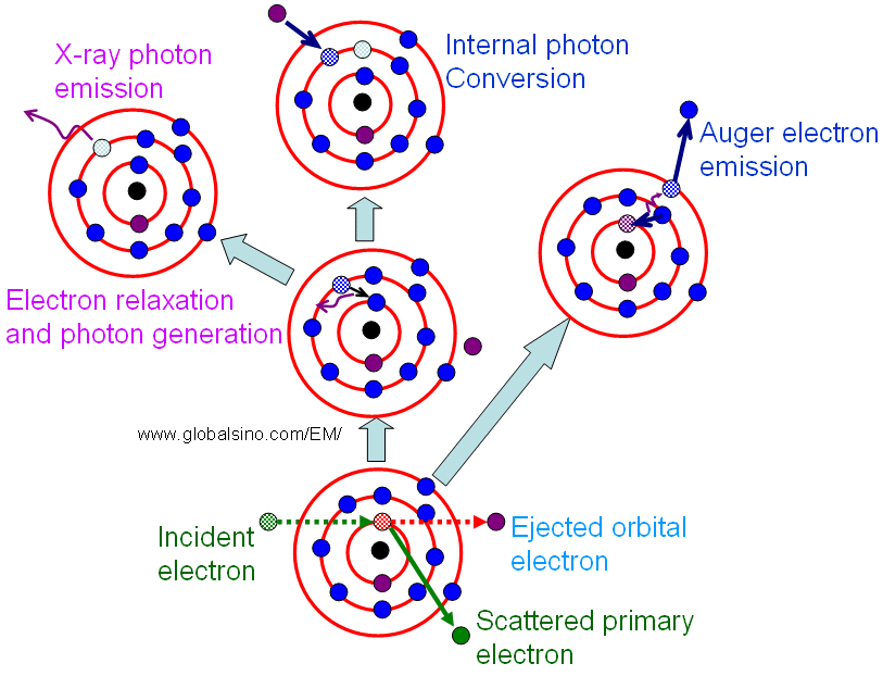 Schematic illustration of inner-shell ionization results in the emission of characteristic x-ray or Auger electron