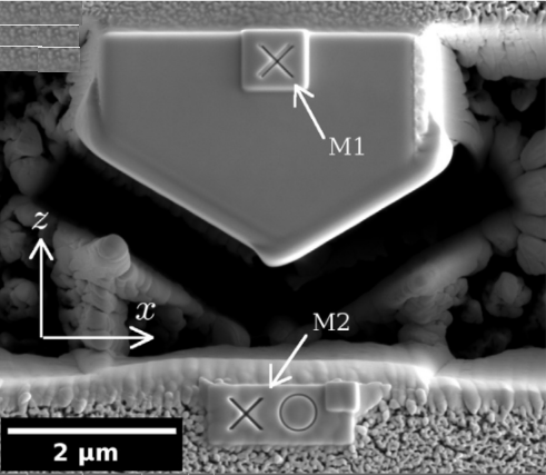 SEM image displaying the top view of the ROI (Region of Interest). The top fiducial marker is utilized for real-time drift correction in FIB images, while the bottom cross and circular markers are used to align SEM images externally from the dual FIB/SEM system