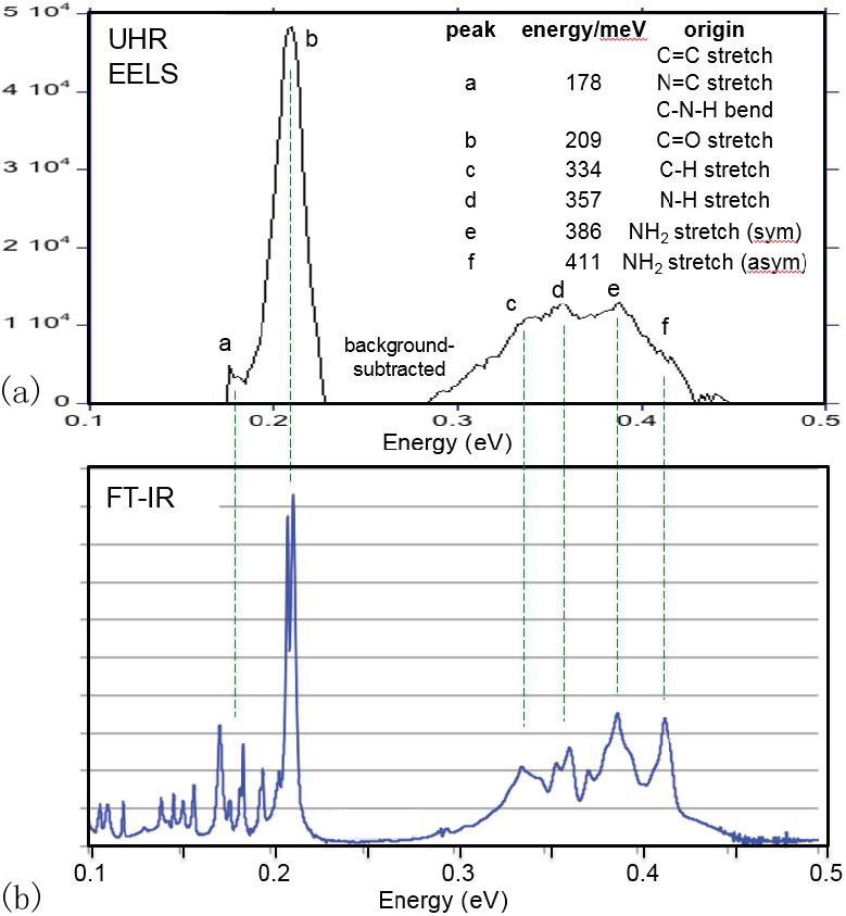 Comparison between Infrared Spectrum and EELS