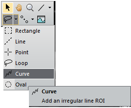 Loop ROI and Curve ROI on Gatan DigitalMicrograph