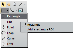 Rectangle ROI on Gatan DigitalMicrograph