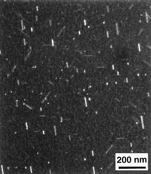 040 weak-beam dark-field TEM image of B-implanted Si
