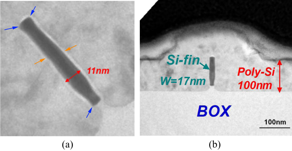 Cross-sectional TEM images of multiple Si-Fins, with Si-Fin widths (Wfin) of (a) 11 nm and (b) 17 nm, respectively