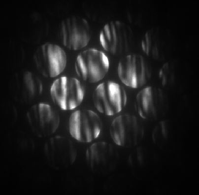 Example of measuring convergence semi-angles with a {111} silicon crystalline TEM specimen