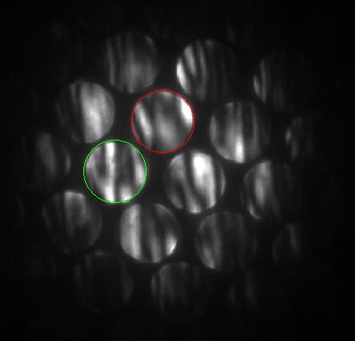 Example of measuring convergence semi-angles with a {110} silicon crystalline TEM specimen